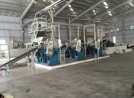 Thi Công Hệ Thống Dây Chuyền Chế Biến Mũ Cao Su Nhà Máy Tại Bình Dương