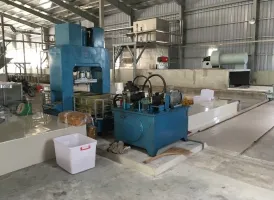 Vận Hành Chuyển Giao Công Nghệ Tại Xưởng Chế Biến Mũ Cao Su Bình Dương